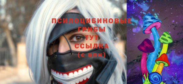 МДПВ Абинск