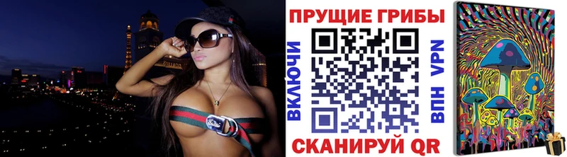 блэк спрут как войти  Кисловодск  Галлюциногенные грибы Cubensis 