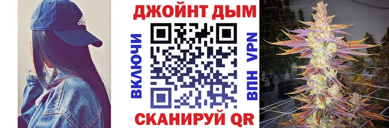 Шишки марихуана конопля  площадка формула  Кисловодск 
